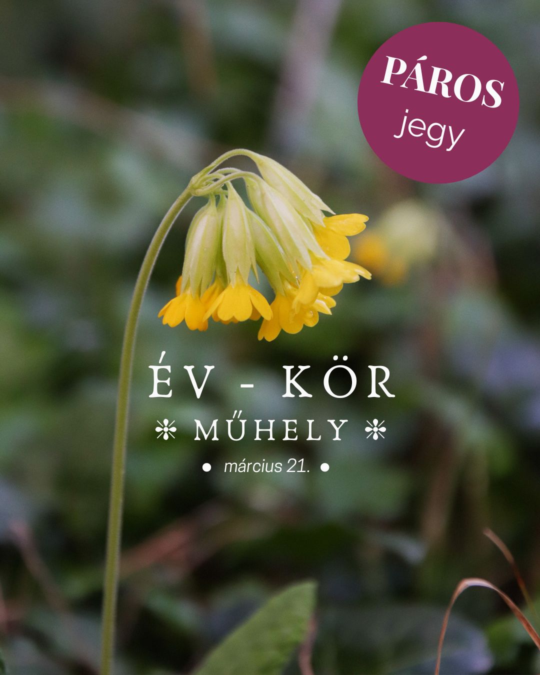 ÉV-KÖR MŰHELY ❈ a tavaszi nap-éj egyenlőség tiszteletére ❈ PÁROS kedvezményes jegy ❈